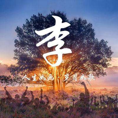 qq飞车手机版官方正版下载