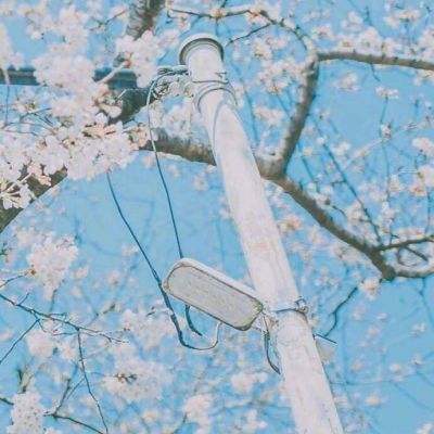 苍穹之冠手游