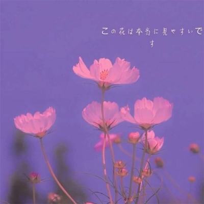 明日之后一加版本下载