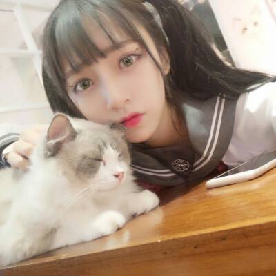 山海创世录bt版下载
